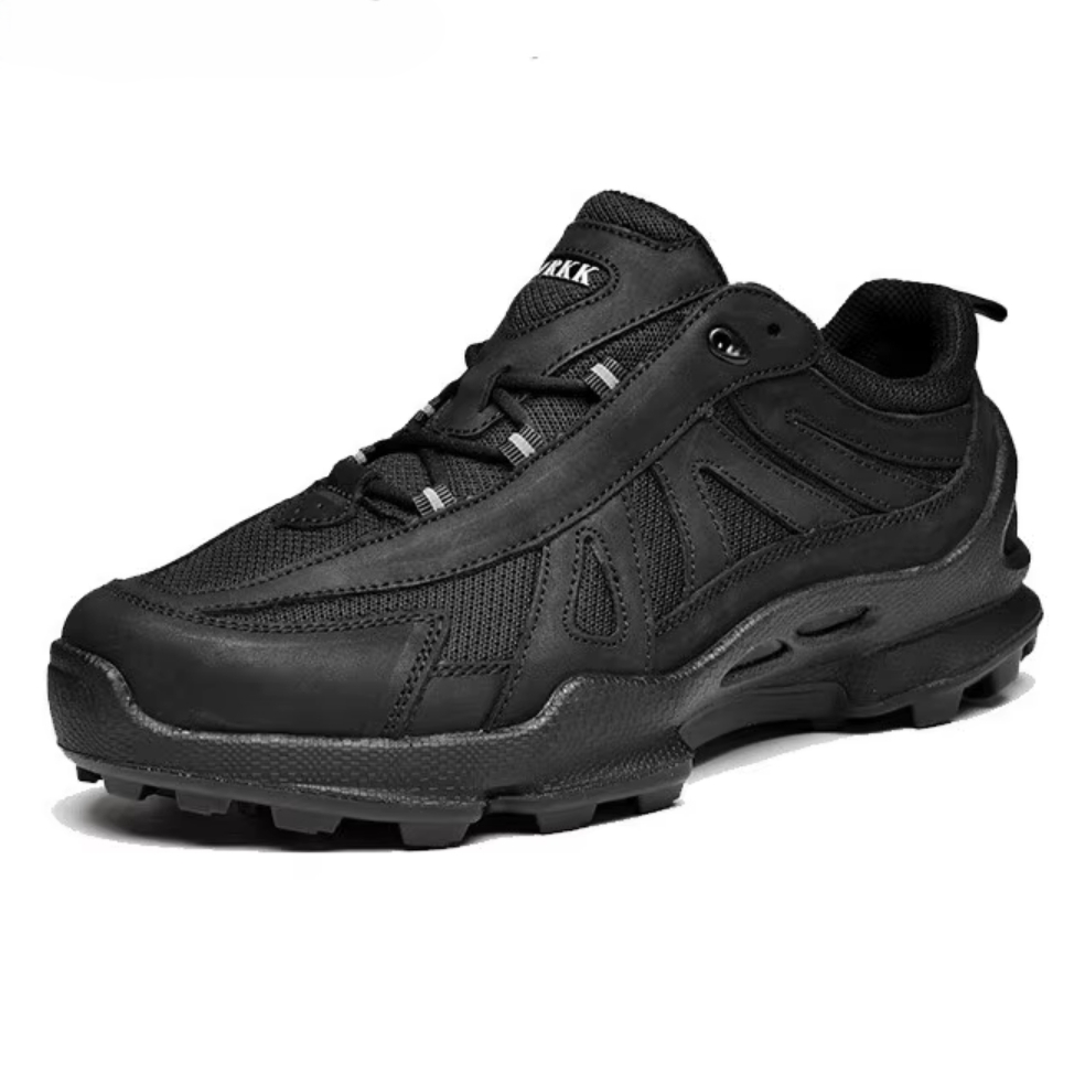 Trendy Luxury Brand Hiking Sho - đánh giá và giá Men'S Shoes Japanese Brand